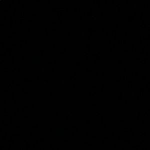 Meet your Posher, Ali